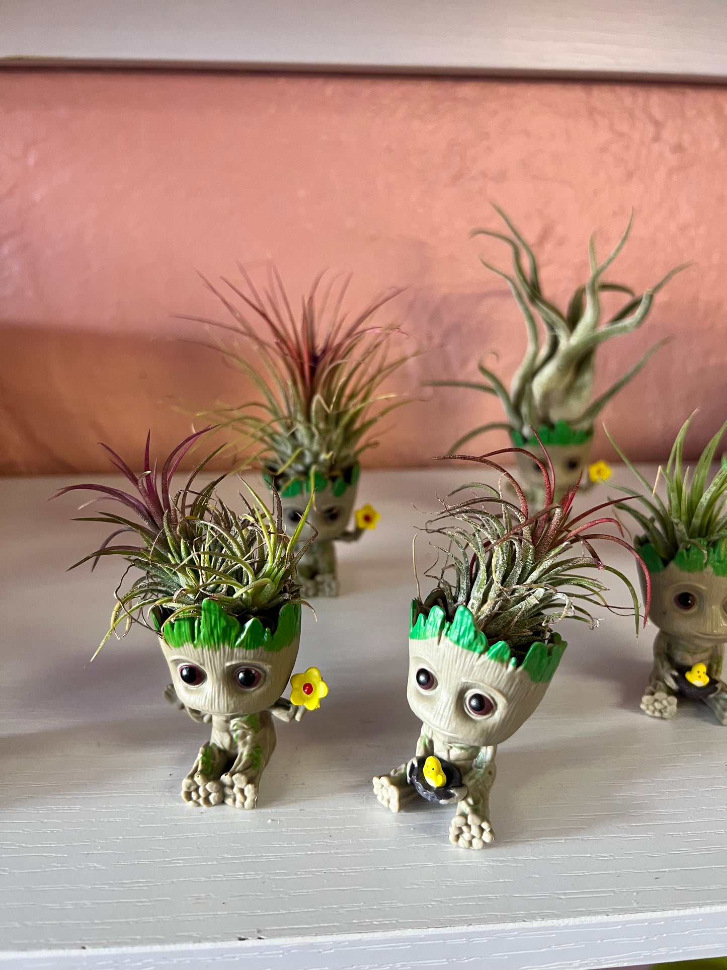 Mini Baby Groot Plant With Air Plant